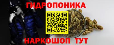 шишки Пушкино