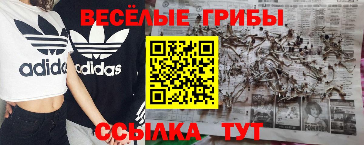 Галлюциногенные грибы Psilocybe  Вход с VPN  Октябрьский 